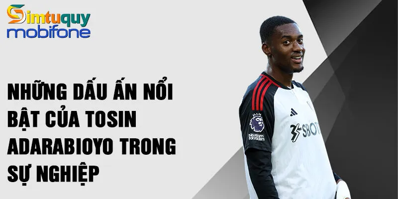 Những dấu ấn nổi bật của Tosin Adarabioyo trong sự nghiệp