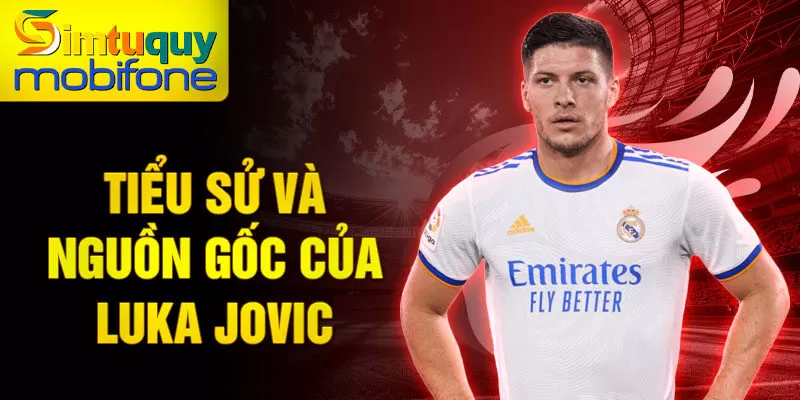 Tiểu sử và nguồn gốc của Luka Jovic