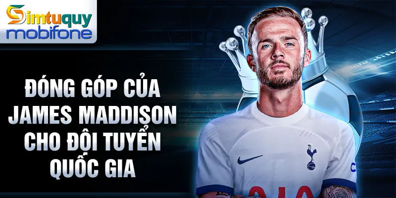 Đóng góp của James Maddison cho đội tuyển quốc gia