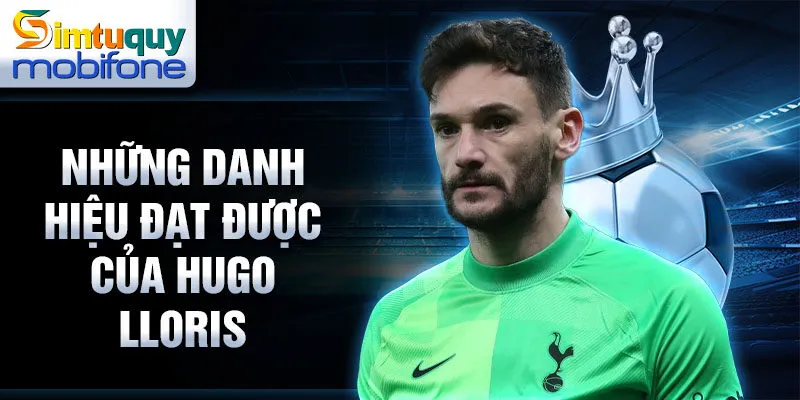 Những danh hiệu đạt được của Hugo Lloris