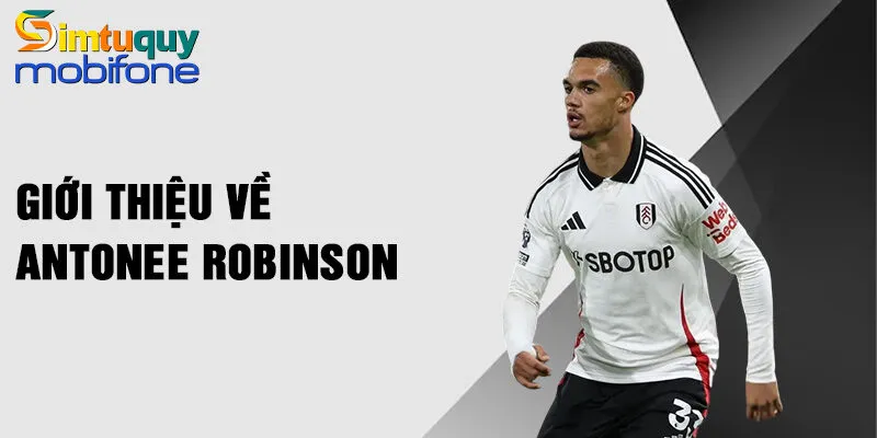 Giới thiệu về Antonee Robinson