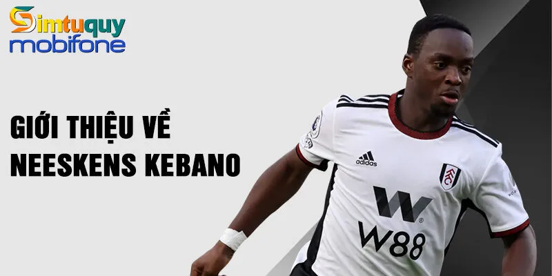 Giới thiệu về Neeskens Kebano