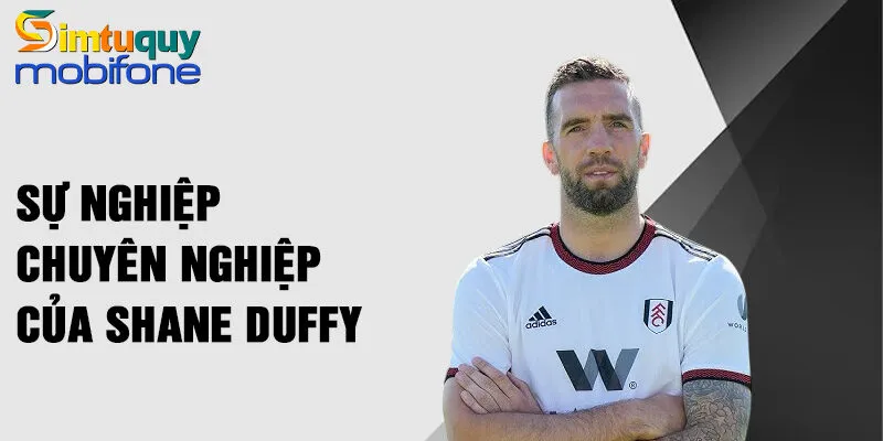 Sự nghiệp chuyên nghiệp của Shane Duffy