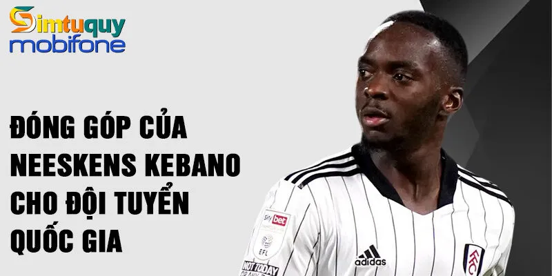 Đóng góp của Neeskens Kebano cho đội tuyển quốc gia