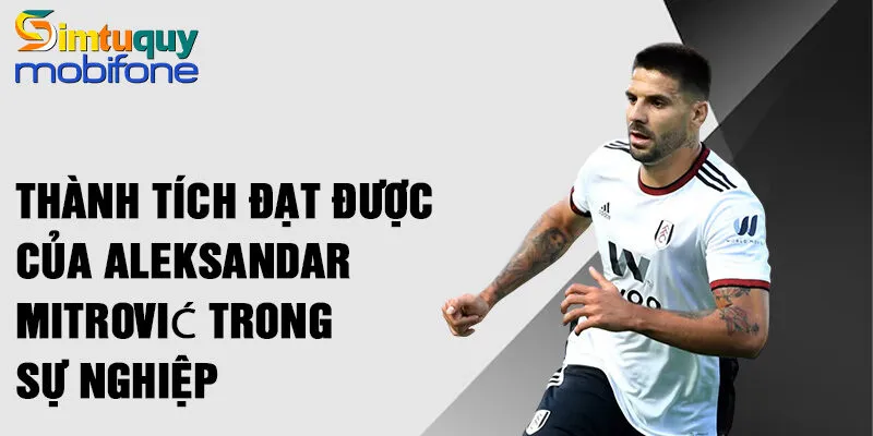 Thành tích đạt được của Aleksandar Mitrović trong sự nghiệp