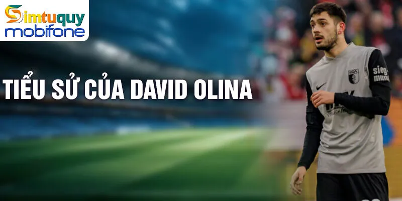 Khám Phá Cuộc Đời Và Sự Nghiệp Của David Čolina 1 Tiểu sử của David Čolina