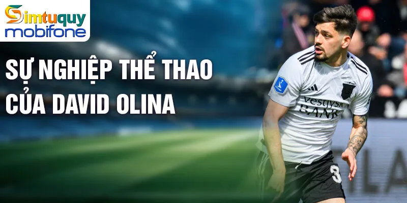 Khám Phá Cuộc Đời Và Sự Nghiệp Của David Čolina 2 Sự nghiệp thể thao của David Čolina